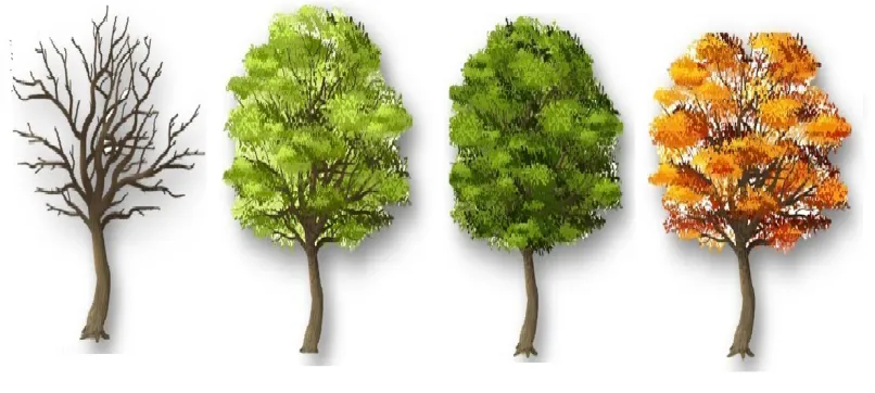 Времена года на английском языке