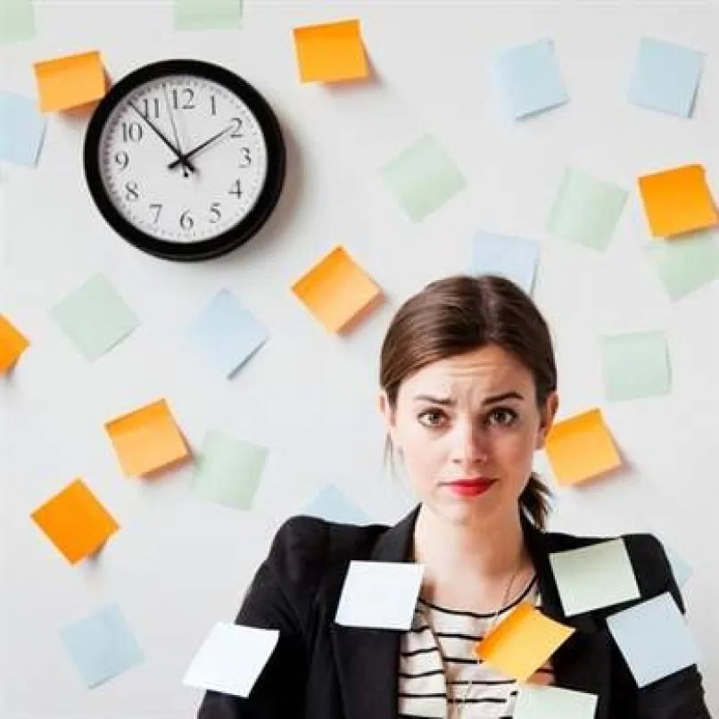 Довести анкету до блеска перед самым горячим временем учебного года