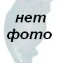 Фотография репетитора Козлова Татьяна Сергеевна