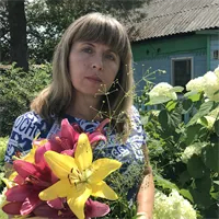 Фотография репетитора Окладникова Елена Владимировна