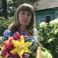 Фотография репетитора Окладникова Елена Владимировна