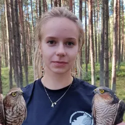 Фотография репетитора Малашичева Елизавета Егоровна