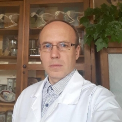 Фотография репетитора Волков Алексей Николаевич