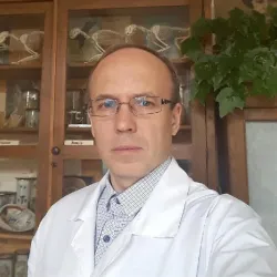 Фотография репетитора Волков Алексей Николаевич