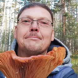 Фотография репетитора Димарский Денис Германович