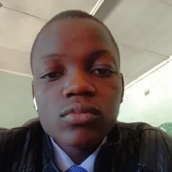 Фотография репетитора Сонгвим Нгонидзаши 