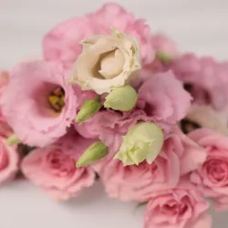 Кузнец Ксения Вадимовна