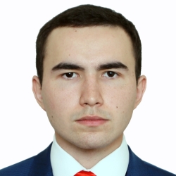 Фотография репетитора Хафизов Разиль Фанилевич