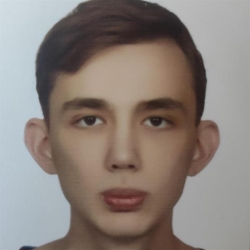 Фотография репетитора Плотников Никита Олегович